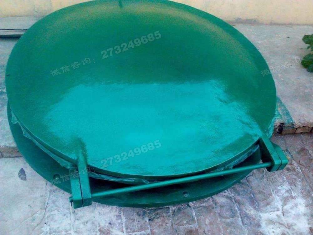 桂林大型玻璃钢拍门