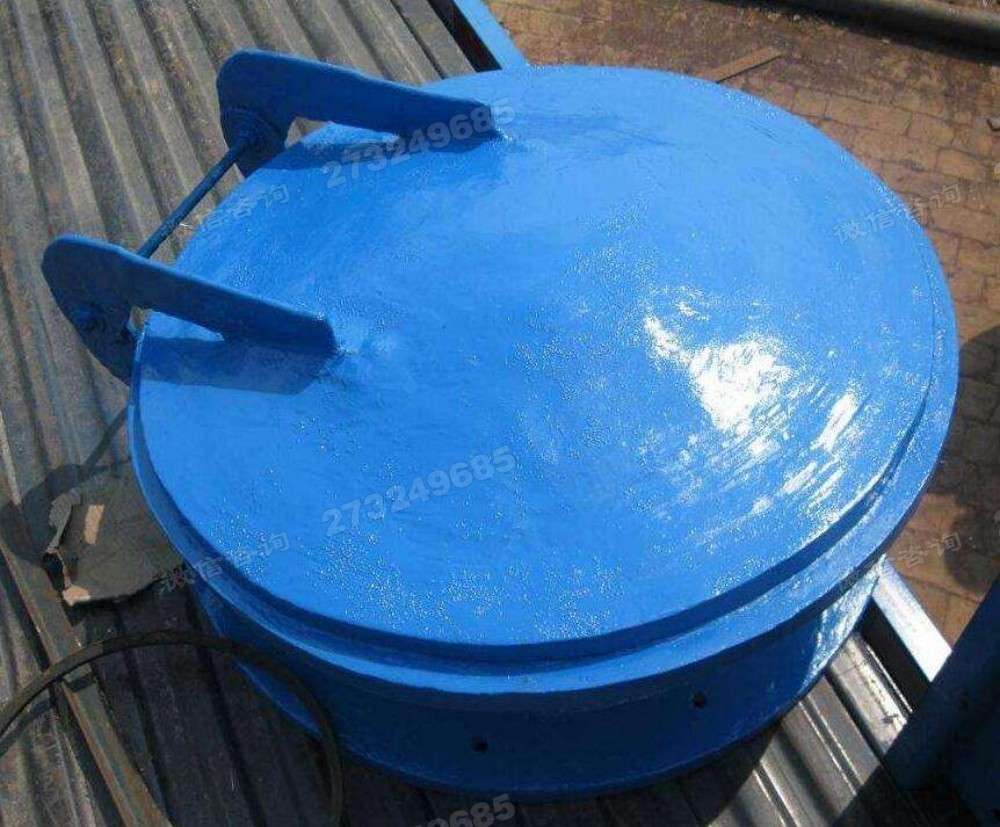 桂林蓝色单开拍门