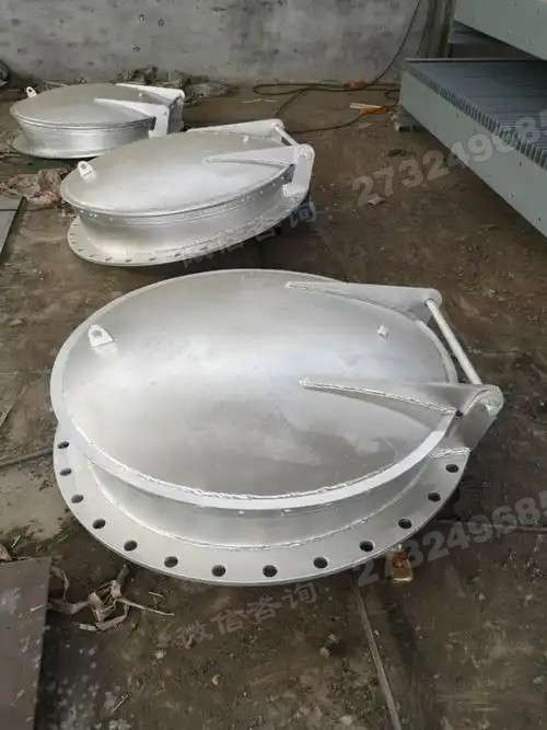 细河大口径不锈钢拍门