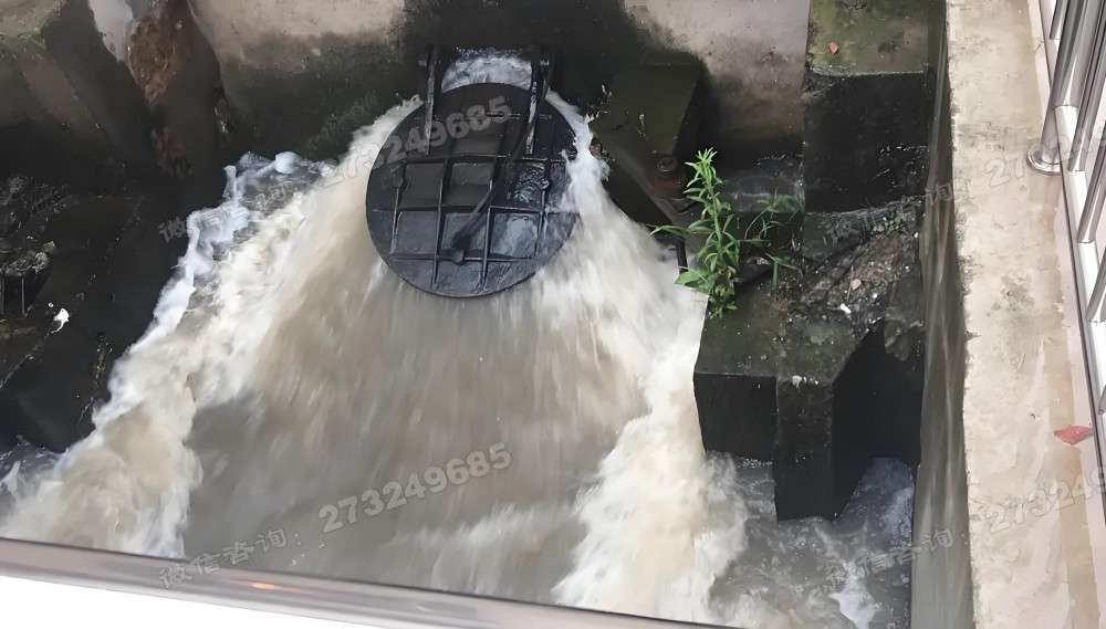 工业排水拍门