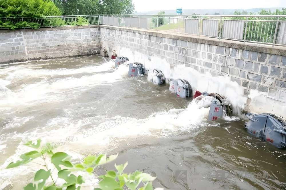 河道治理侧开拍门