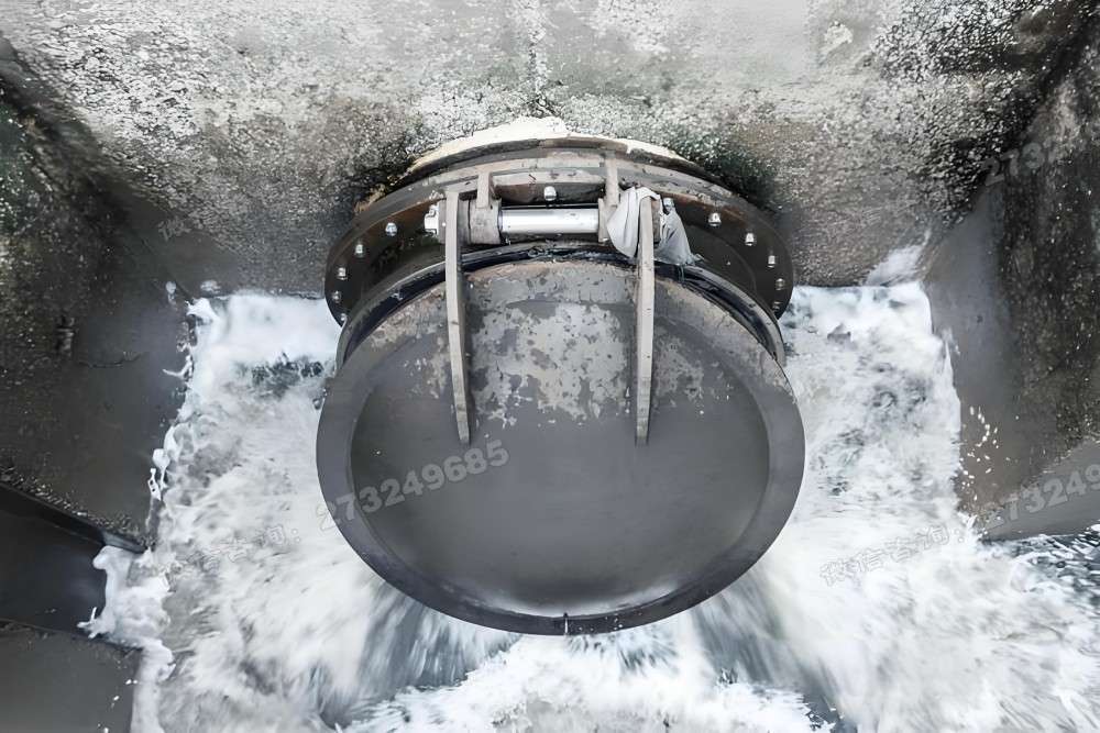 给排水拍门