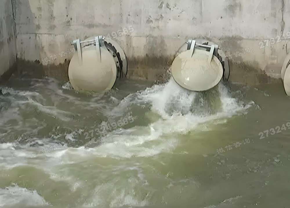 细河一体式拍门