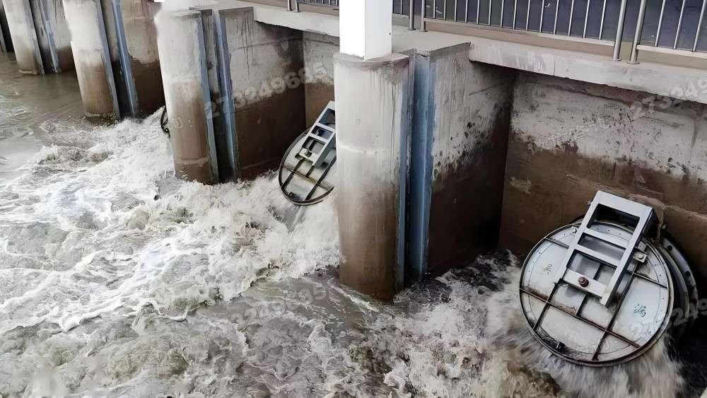 市政排水拍门