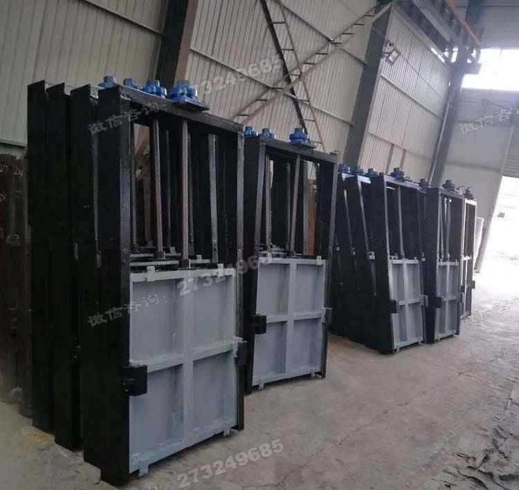 灯塔标准化机闸一体闸门