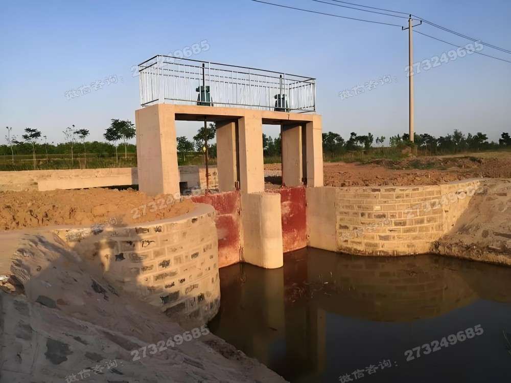 金凤双孔进水闸门