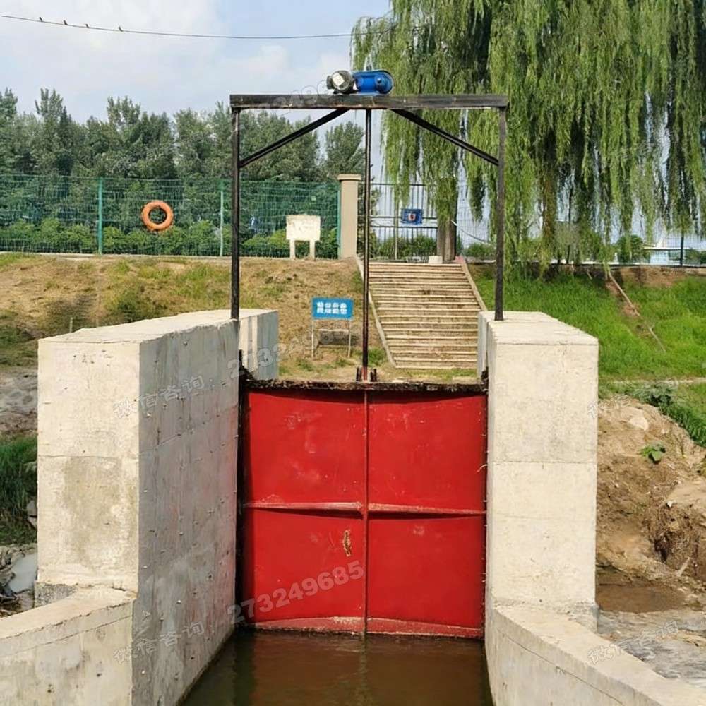 广西河畔双门铸铁闸门