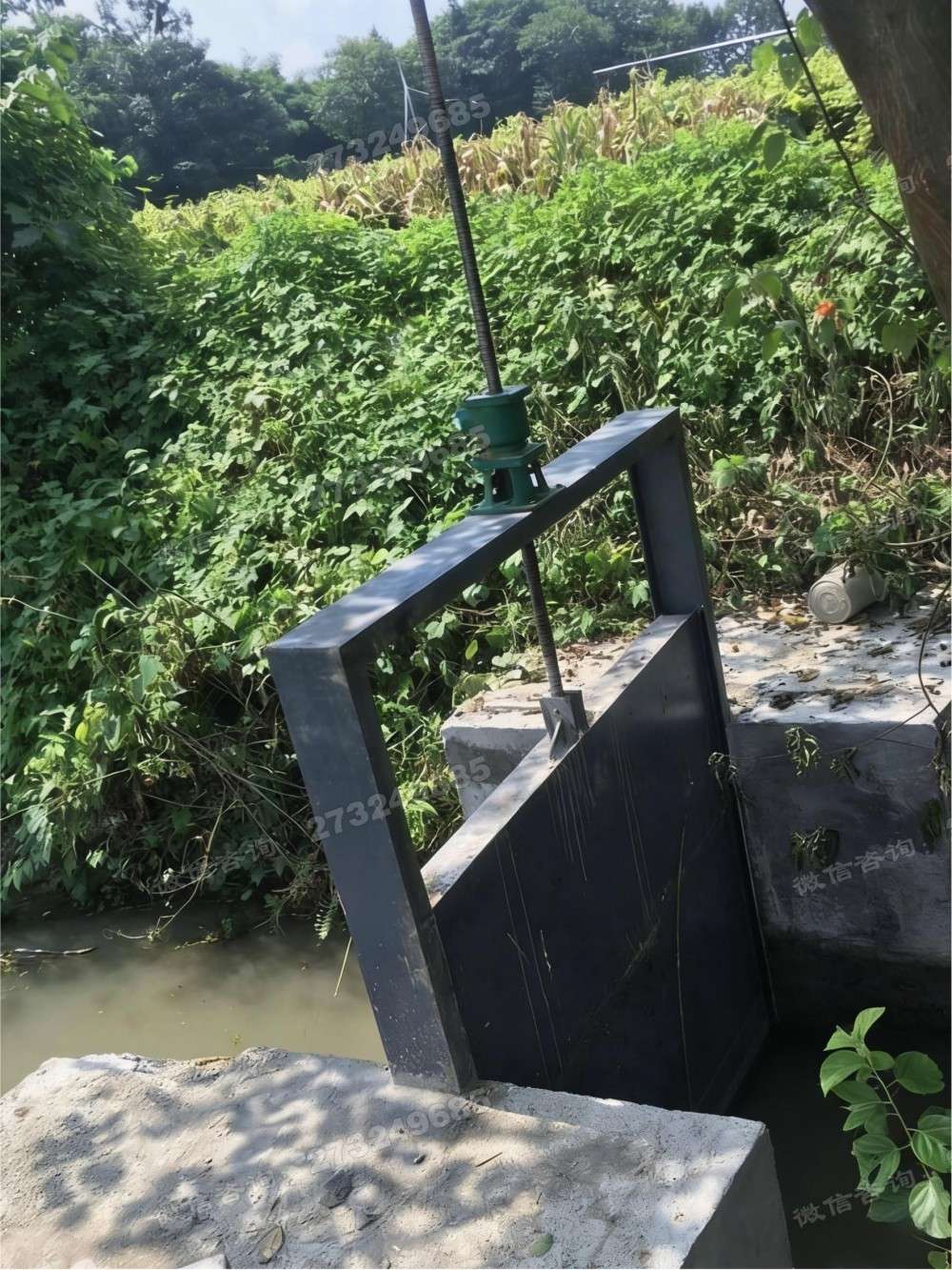 阜新县农田黑色钢制闸门