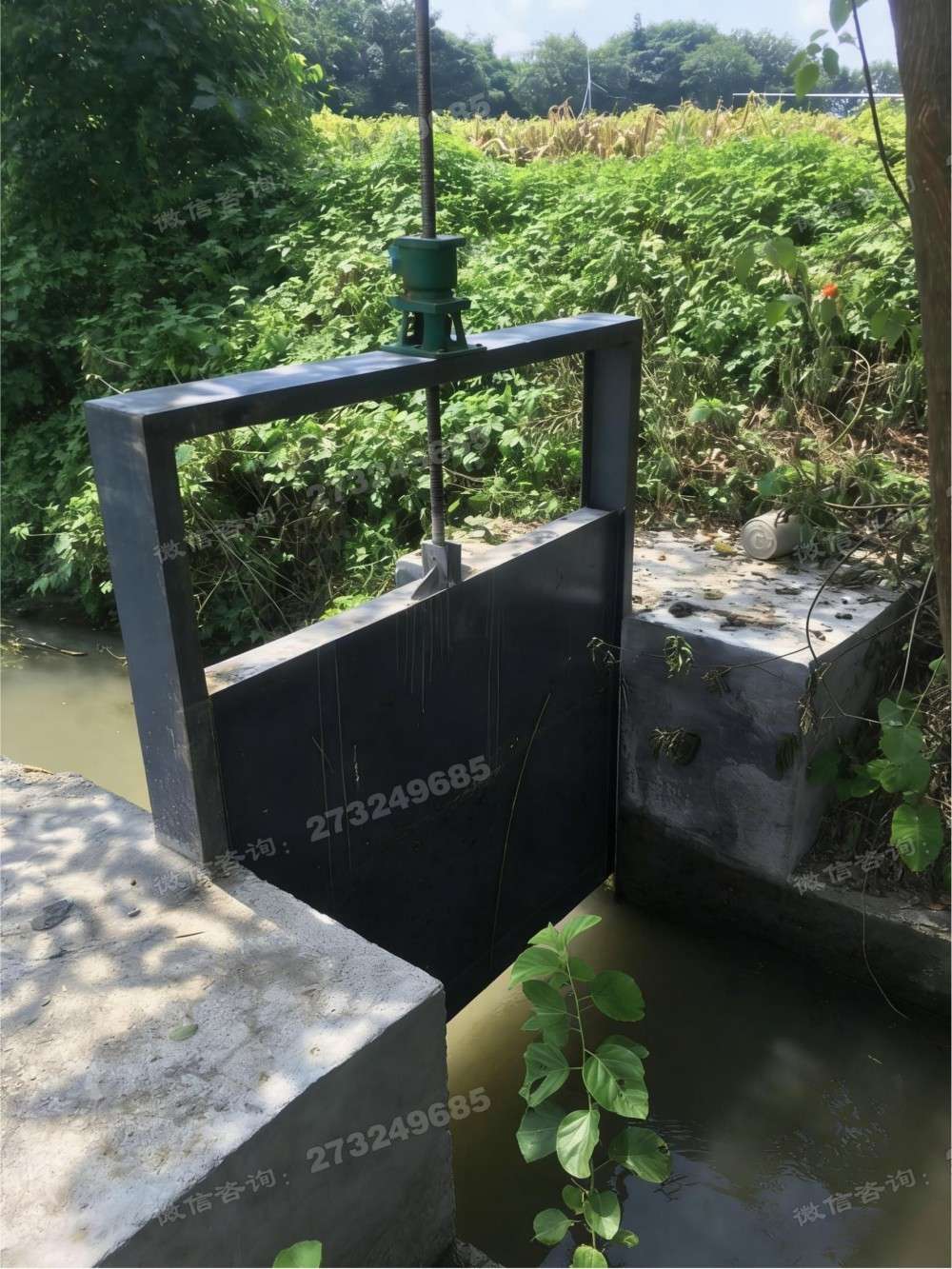 阜新县菜园灌溉钢制闸门