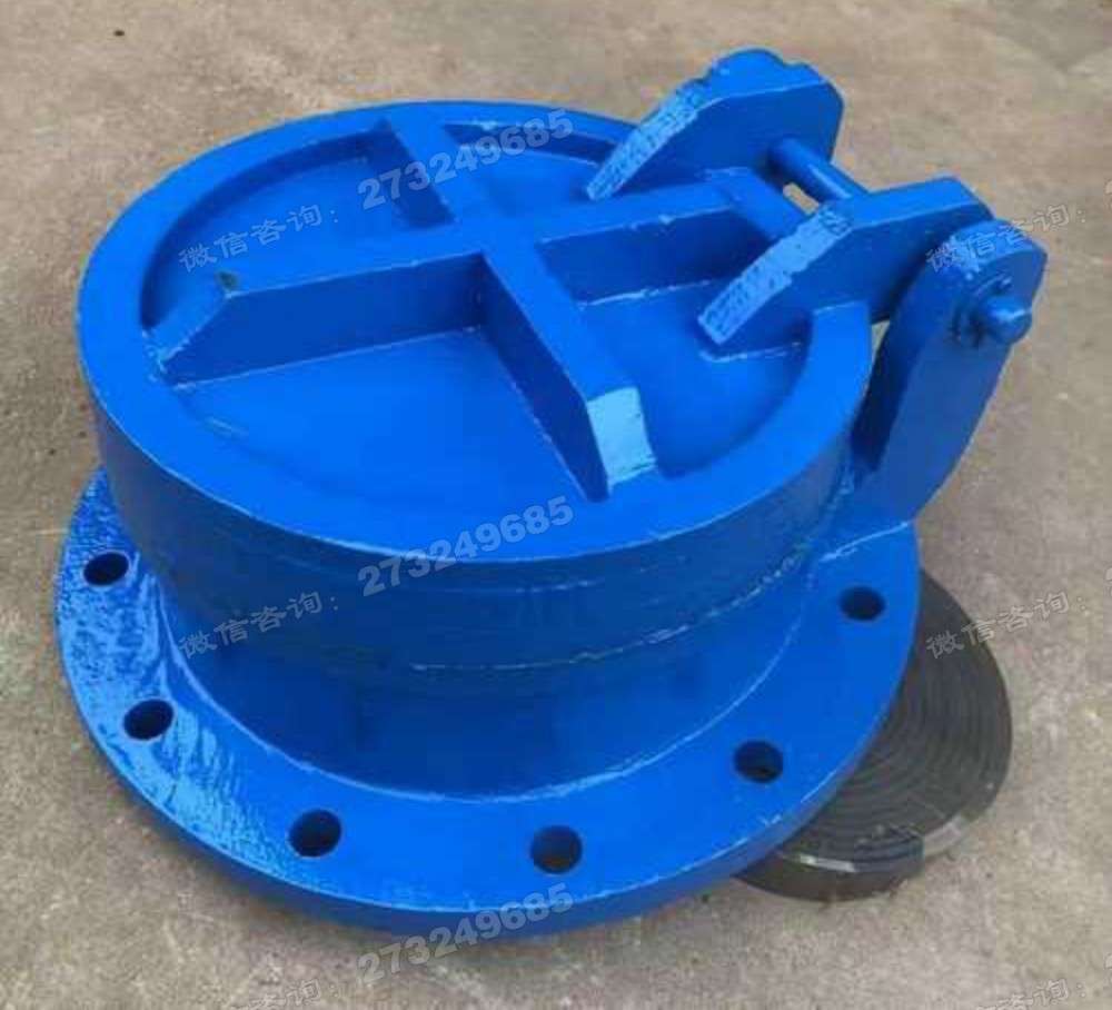 东营河道排水铸铁拍门