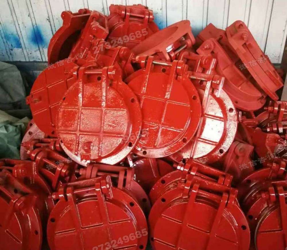 广西多型号铸铁拍门