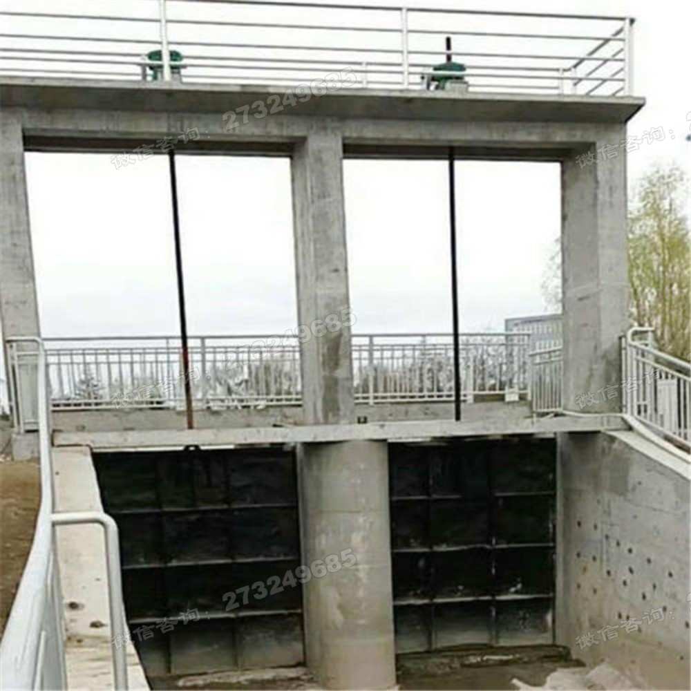 细河泵站双孔铸铁闸门